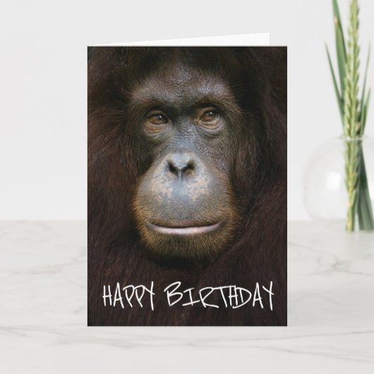 Happy Birthday | Orangutan Face Karte (Vorderseite)