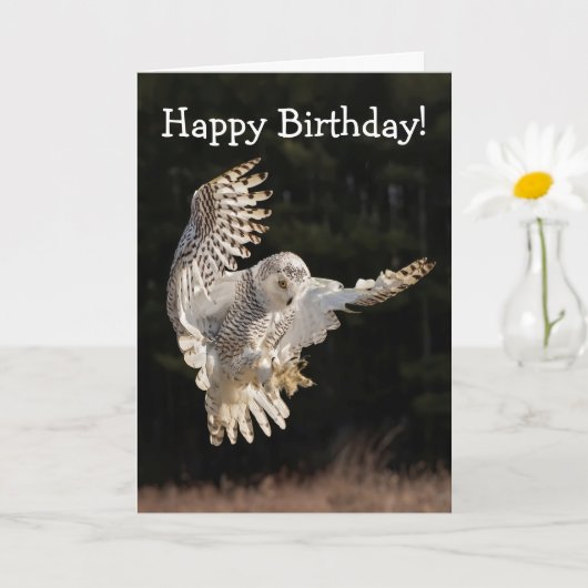 Happy Birthday Owl Karte (Kleine Pflanze)