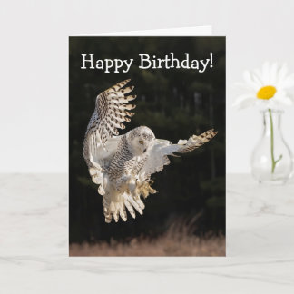 Happy Birthday Owl Karte