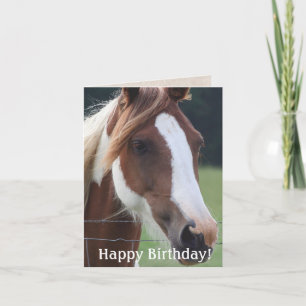 Happy Birthday Paint Horse Reitkarte Karte