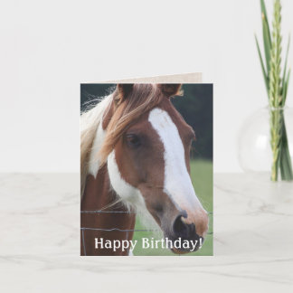 Happy Birthday Paint Horse Reitkarte Karte