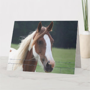 Happy Birthday Paint Horse Reitkarte Karte