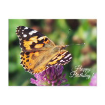 Happy Birthday Painted Lady Butterfly Postcard