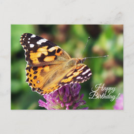 Happy Birthday Painted Lady Butterfly Postcard Postkarte