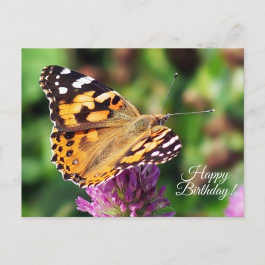 Happy Birthday Painted Lady Butterfly Postcard Postkarte (Vorderseite)