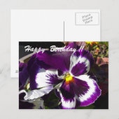 Happy Birthday Pansy Postkarte (Vorne/Hinten)