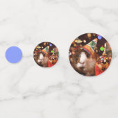 Happy Birthday - Party Animal Guinea Pig Konfetti (Vorderseiten)