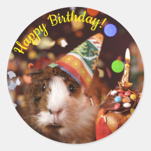 Happy Birthday - Party Animal Guinea Pig Paper Pla Runder Aufkleber
