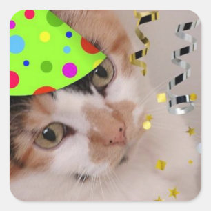 Happy Birthday Party Calico Cat Quadratischer Aufkleber