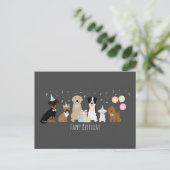 Happy Birthday Party Hunde Postkarte (Stehend Vorderseite)
