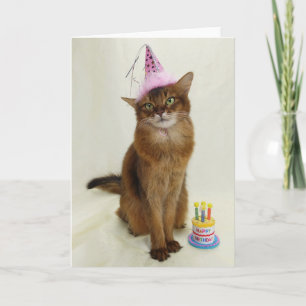 Happy Birthday Party Somali-Katze Karte