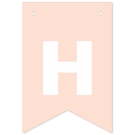 Happy Birthday Pastel Rainbow BUNTING FLAS Wimpelkette (Zweite Fahne)