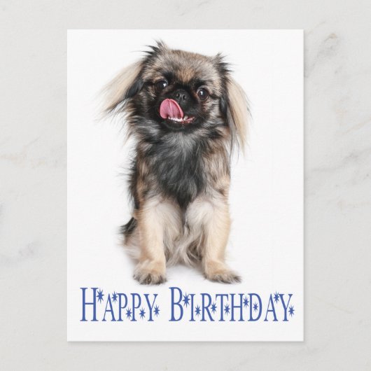 Happy Birthday Pekingese Puppy Dog Blue Postkarte (Vorderseite)
