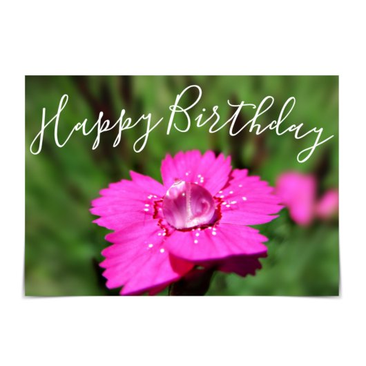 "Happy Birthday" Pink Dianthus Raindrop Card Karte