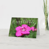 "Happy Birthday" Pink Dianthus Raindrop Card Karte (Vorderseite)