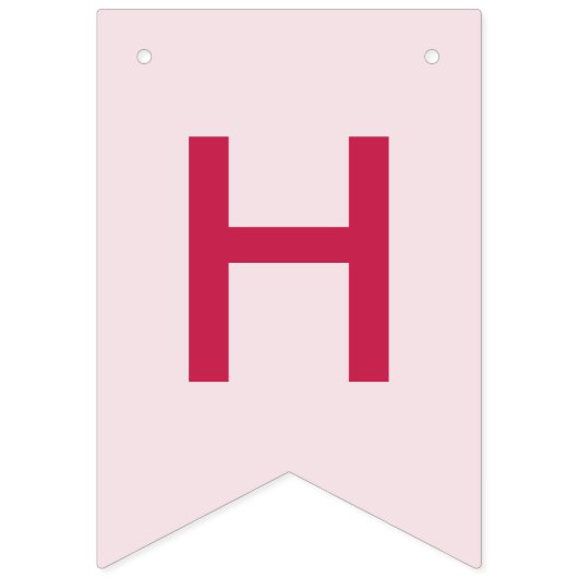 Happy Birthday Pink Party Wimpelkette (Zweite Fahne)