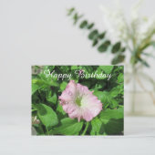 Happy Birthday Pink Petunia Fotografie Postkarte (Stehend Vorderseite)