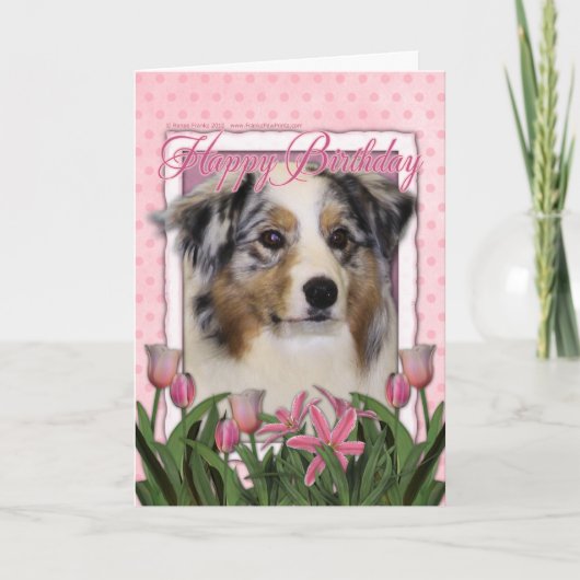 Happy Birthday - Pink Tulips - Australian Shepherd Karte (Vorderseite)