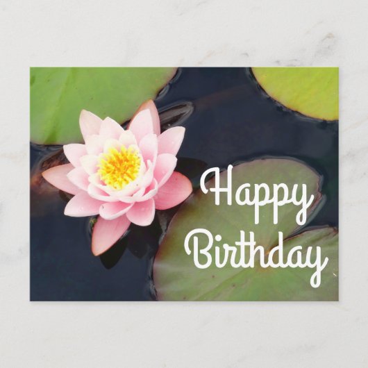 Happy Birthday Pink Water Lily #1 Postcard Postkarte (Vorderseite)