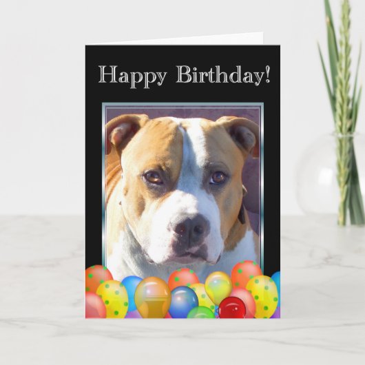 Happy Birthday Pitbulle Hund Grußkarte Karte (Vorderseite)