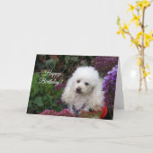Happy Birthday Poodle Hundekarte Karte (Gelbe Blume)