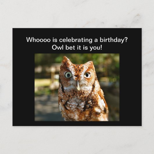 Happy Birthday Postcard Eastern Screech Owl Postkarte (Vorderseite)
