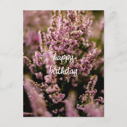 Happy Birthday Postcard Heather Blume Fotografie Postkarte (Vorderseite)
