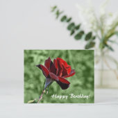 Happy Birthday Postcard Postkarte (Stehend Vorderseite)