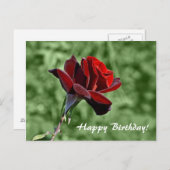 Happy Birthday Postcard Postkarte (Vorne/Hinten)