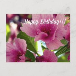 Happy Birthday Postcard Postkarte
