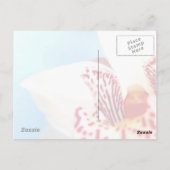 Happy Birthday Postcard Postkarte (Rückseite)