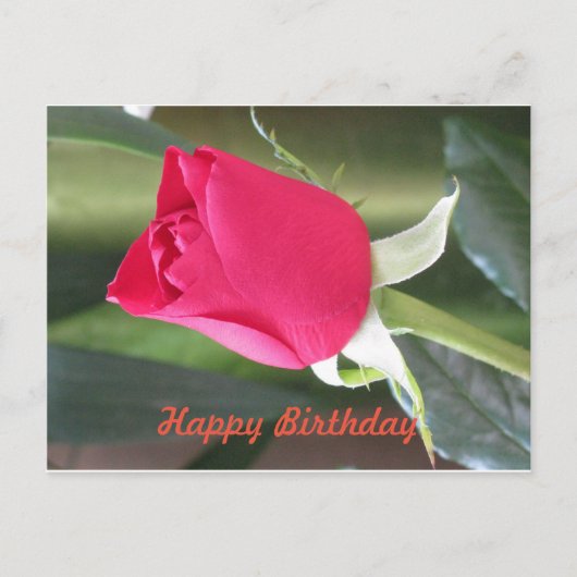 Happy Birthday Postcard Postkarte (Vorderseite)