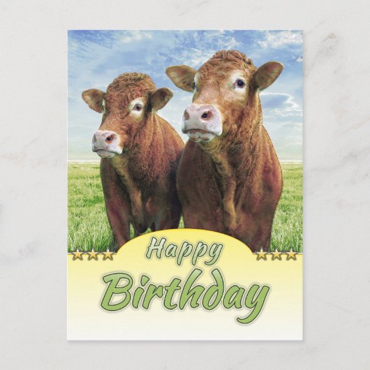 Happy Birthday Postkarte (Vorderseite)