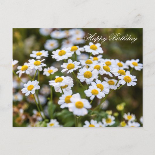 Happy Birthday Postkarte (Vorderseite)