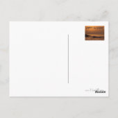 Happy Birthday Postkarte (Rückseite)