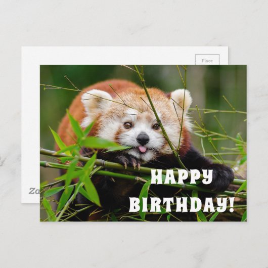 Happy Birthday Postkarte (Vorne/Hinten)