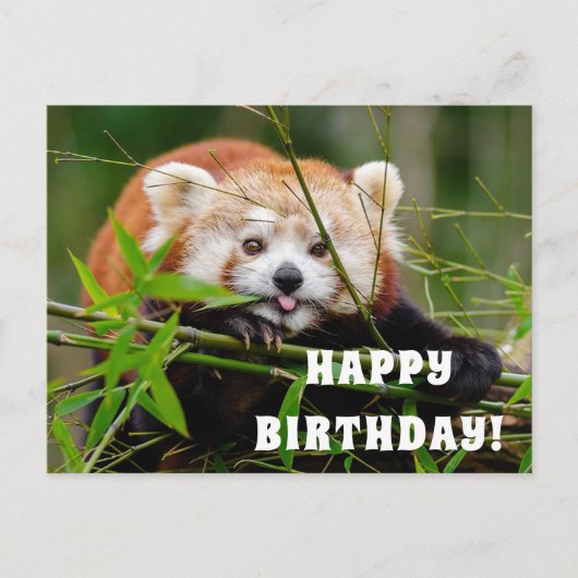 Happy Birthday Postkarte (Vorderseite)