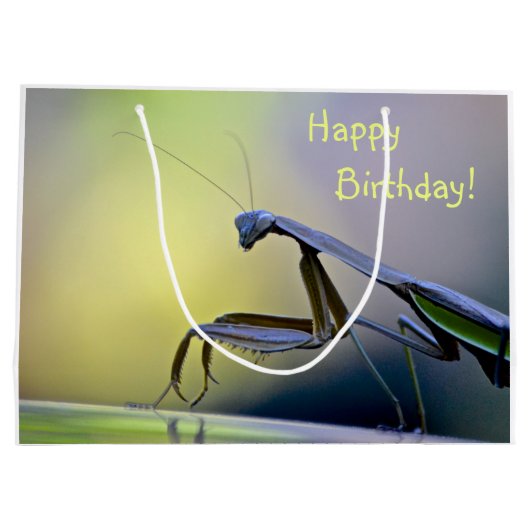 Happy Birthday Praying Mantis Große Geschenktüte (Rückseite)