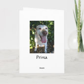 Happy Birthday Prima Karte (Rückseite)