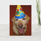 Happy Birthday Prima Karte (Vorderseite)