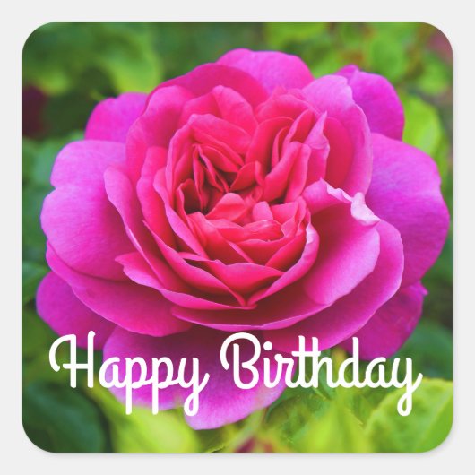 Happy Birthday Princess Anne Rose #1 Stickers (Vorderseite)