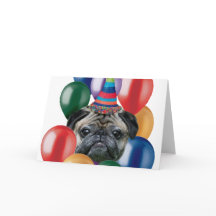 Happy birthday Pug dog