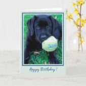 Happy Birthday Puppy Black Labrador - Cute Dog Karte (Gelbe Blume)
