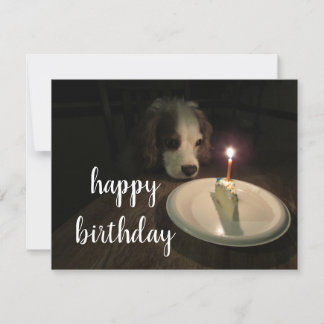 Happy Birthday Puppy | Blankokarte Karte