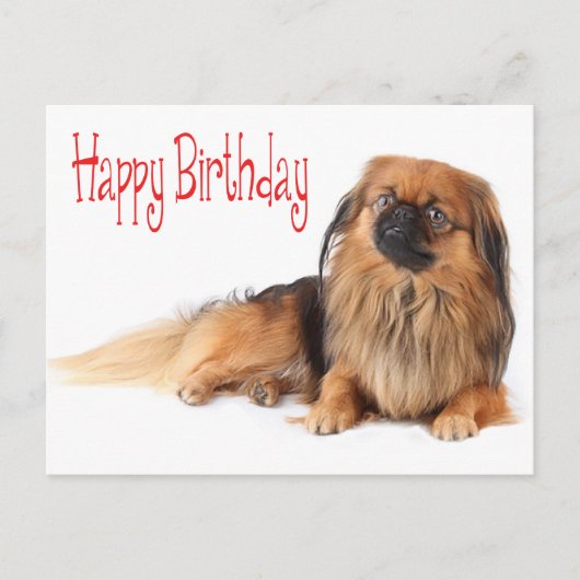 Happy Birthday Puppy Dog Red Postkarte (Vorderseite)