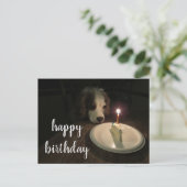 Happy Birthday Puppy | Postkarte (Stehend Vorderseite)