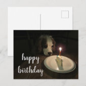 Happy Birthday Puppy | Postkarte (Vorne/Hinten)