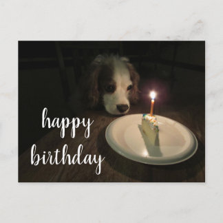 Happy Birthday Puppy | Postkarte