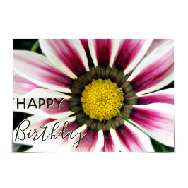 "Happy Birthday" Purple Gazania Flower Karte
