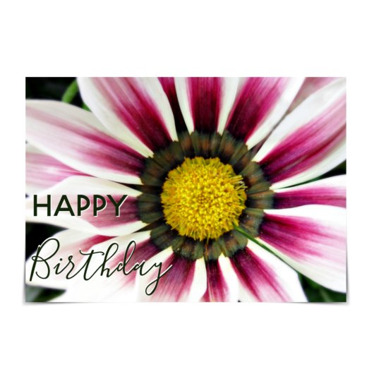 "Happy Birthday" Purple Gazania Flower Karte